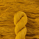 Forsythia