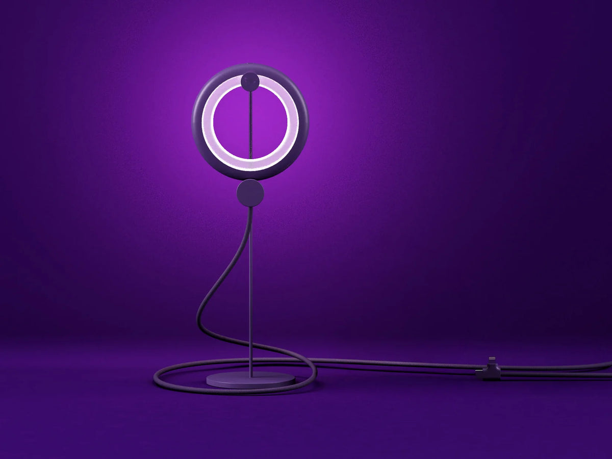 Bily Design - The Bird Lamp