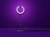 Bily Design - The Bird Lamp