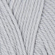 10011 Silver