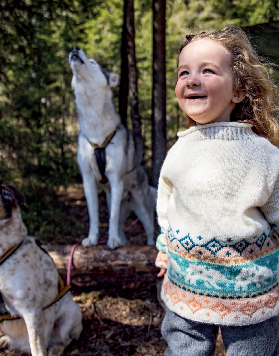 Wilderness Knits for The Great Outdoors by Linka Nuemann