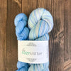 bliss by the cozy knitter polar vortex (blue mini)