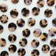 Beguiled (20mm)(10 pack)