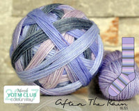 bliss by the cozy knitter after the rain (purple mini)
