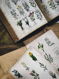 FAIRE Magazine - Issue 7