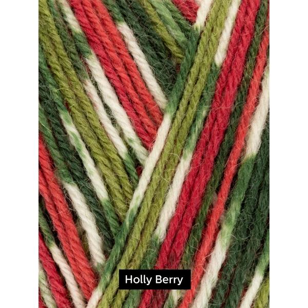Holiday Collection West Yorkshire Spinners (WYS) Signature 4-Ply