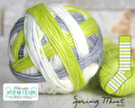 bliss by the cozy knitter spring mist (green mini)