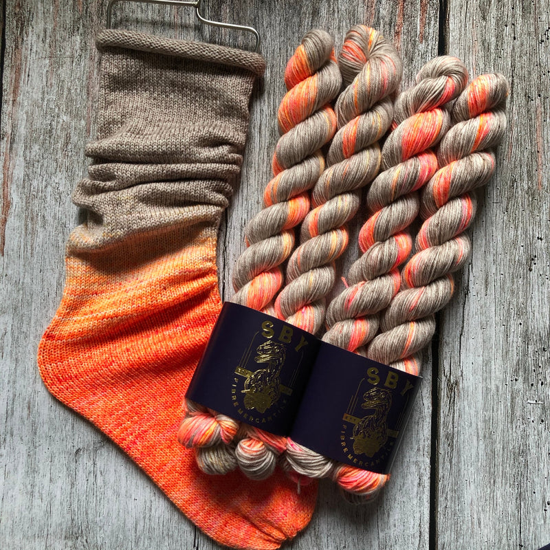 Shirley Brian Yarns - Deconstructed Fade Sock