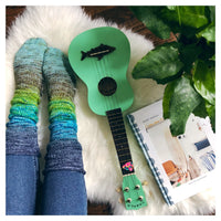 Shirley Brian Yarns - Deconstructed Fade Sock