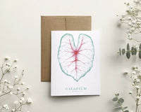 Greeting Cards by Katrinn Pelletier