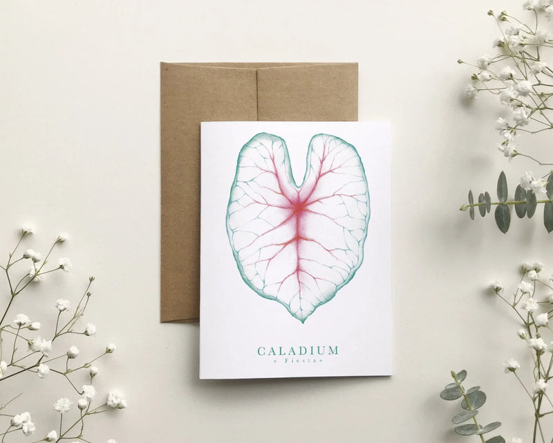 Greeting Cards by Katrinn Pelletier
