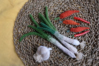 Knit Your Garden by Yun Jeong
