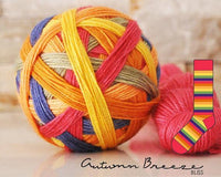 bliss by the cozy knitter autumn breeze (red mini)