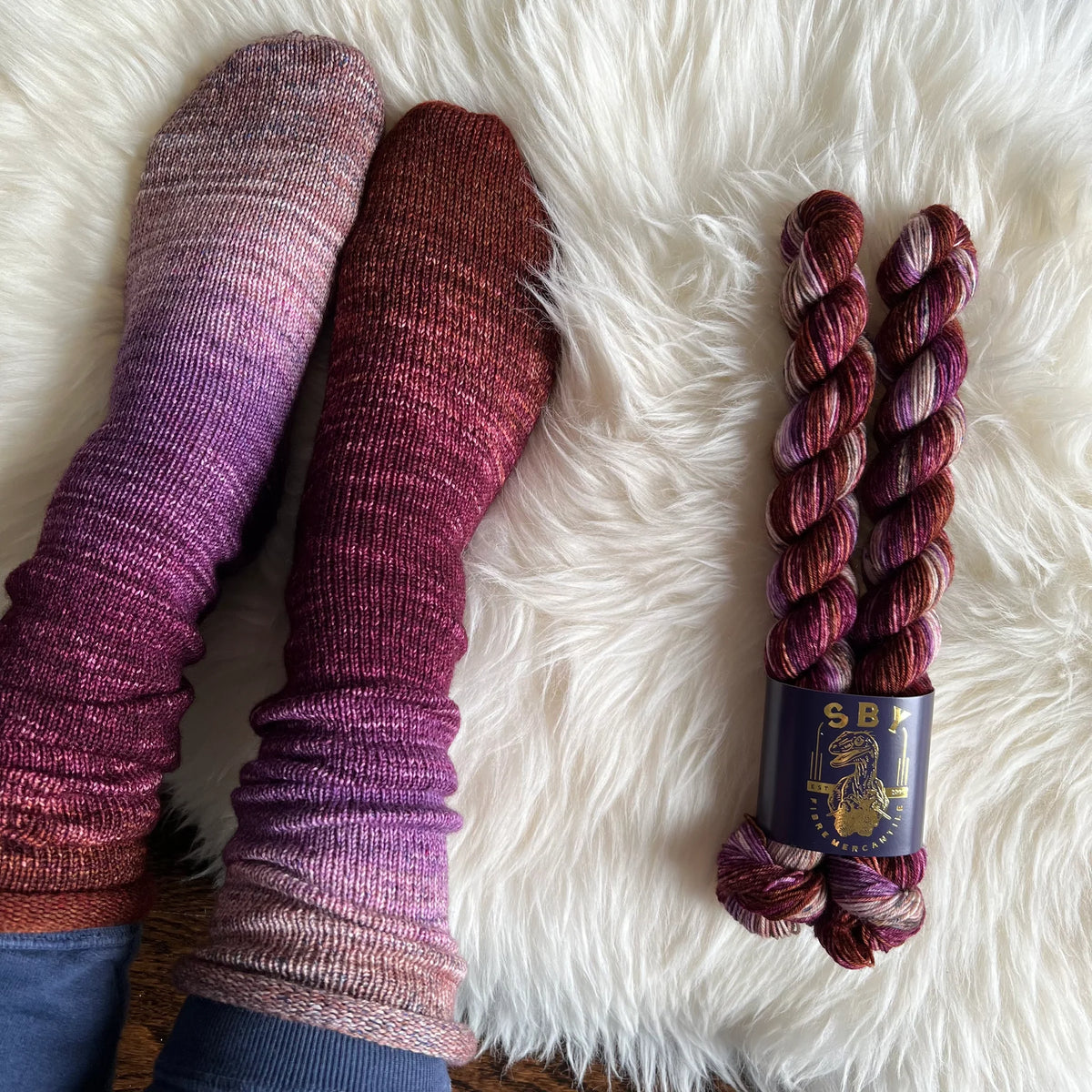 Shirley Brian Yarns - Deconstructed Fade Sock