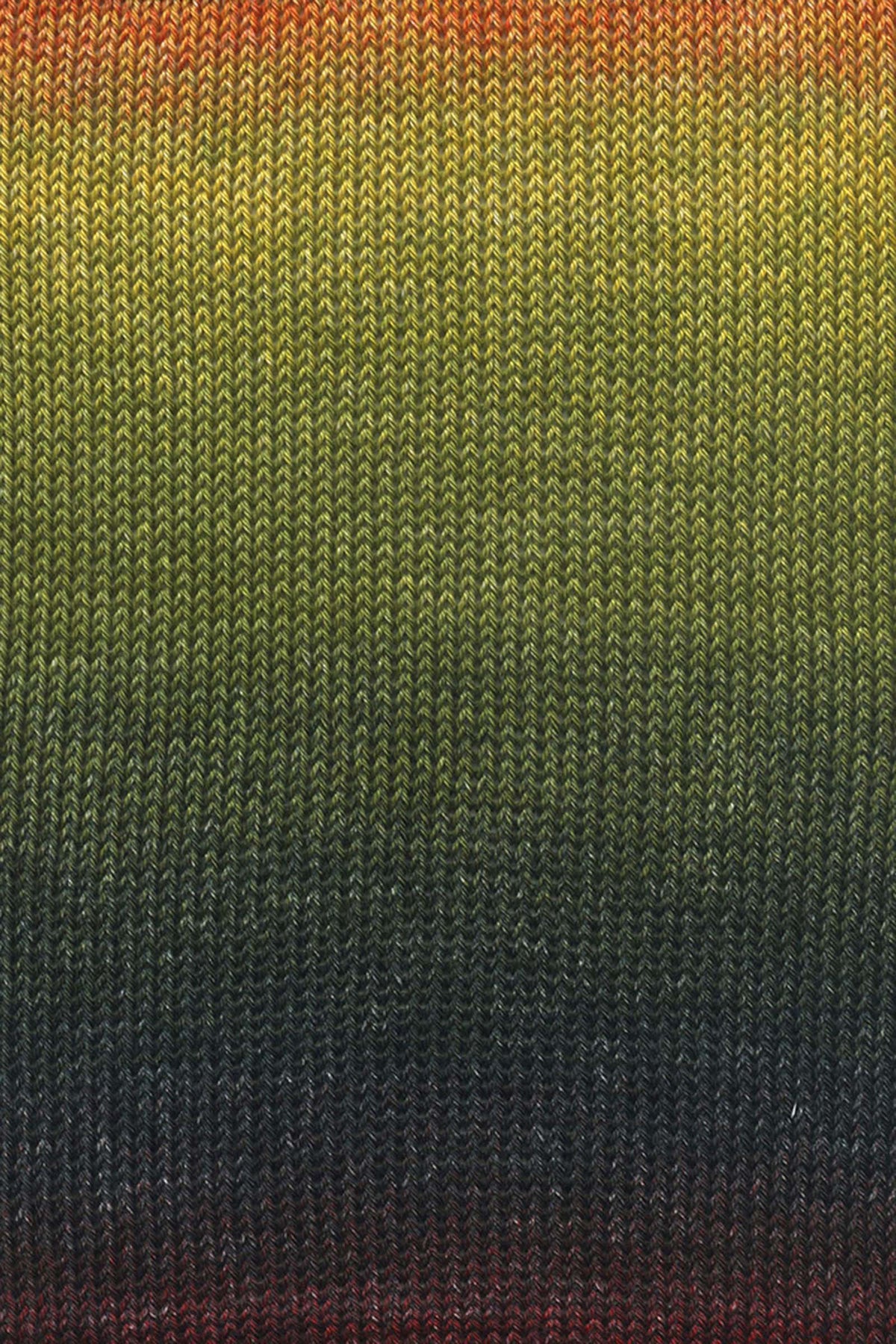 Lang Yarns - Quattro Dégradé