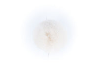 LOVaFUR Rex Pom Poms